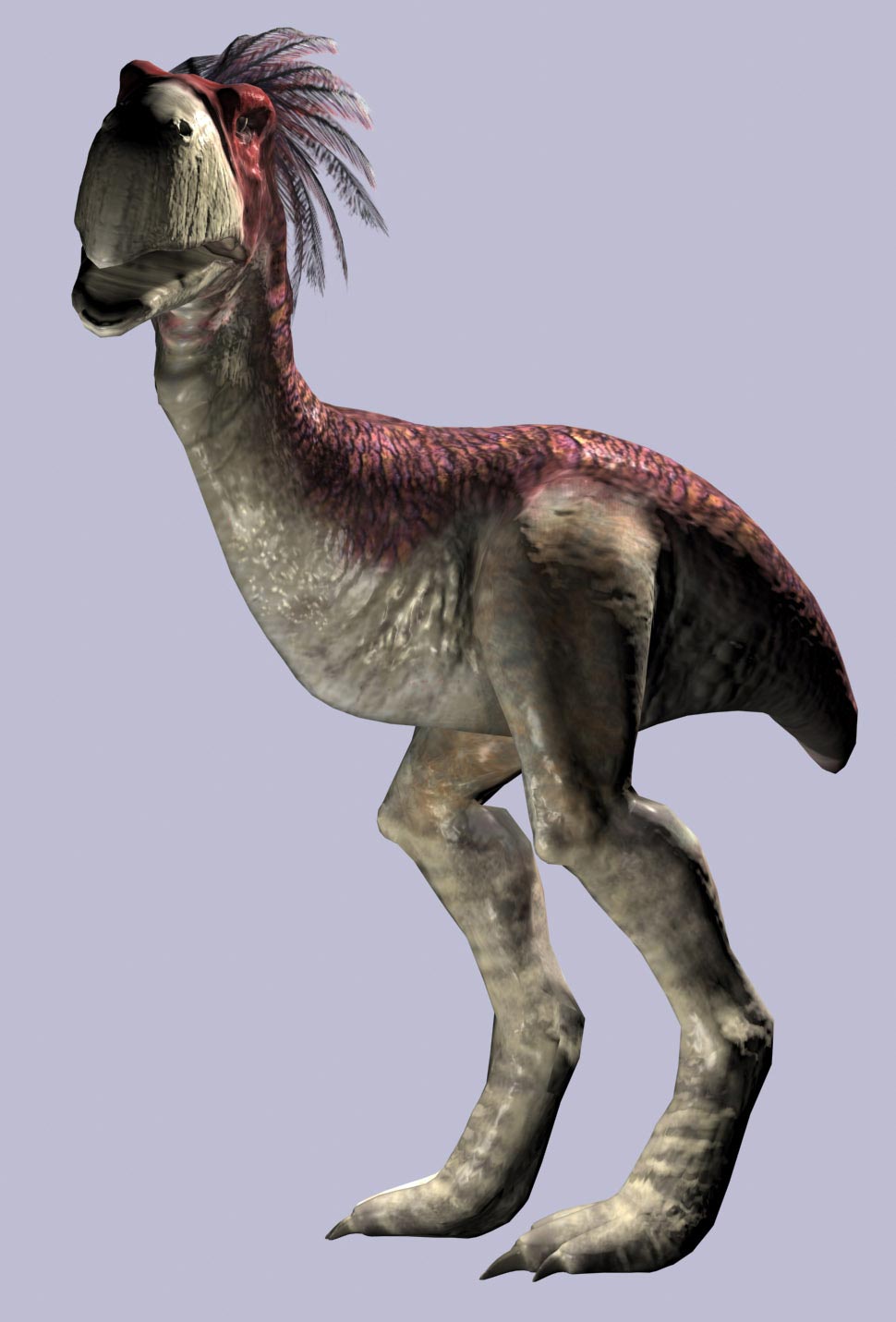 34.jpg